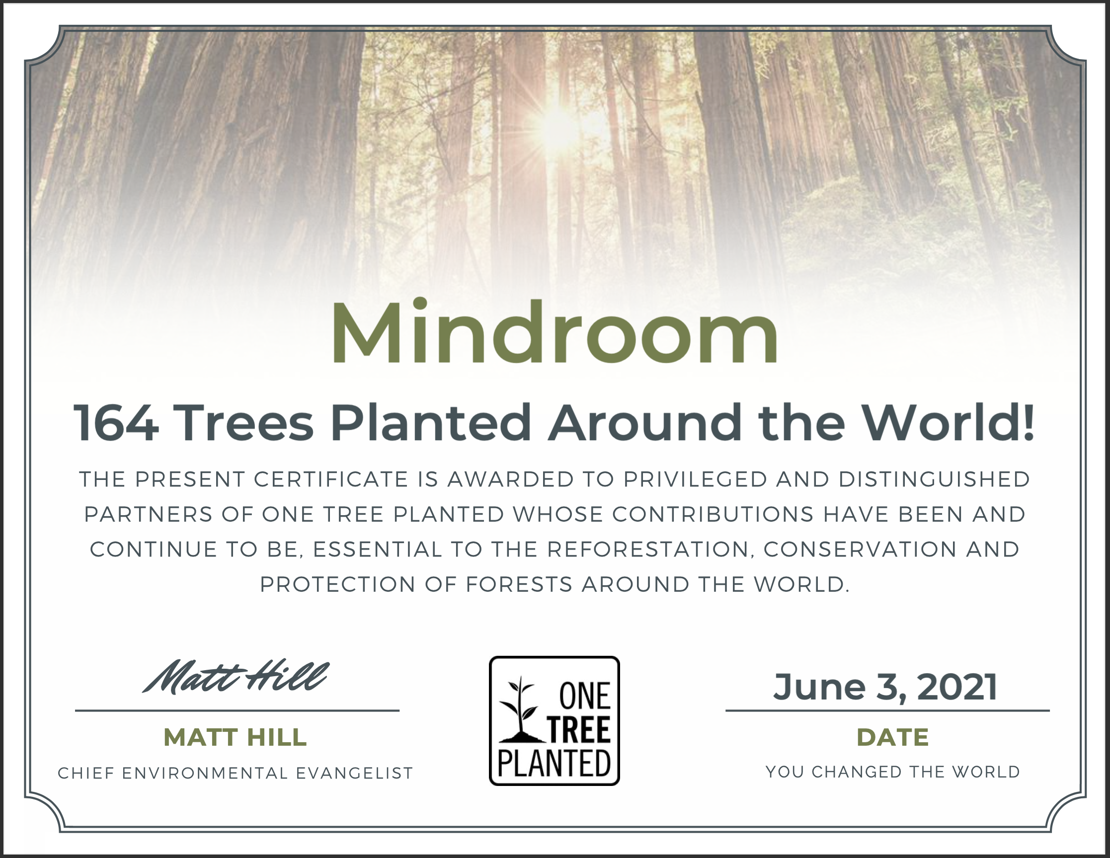 Tree planting – Changing our impact