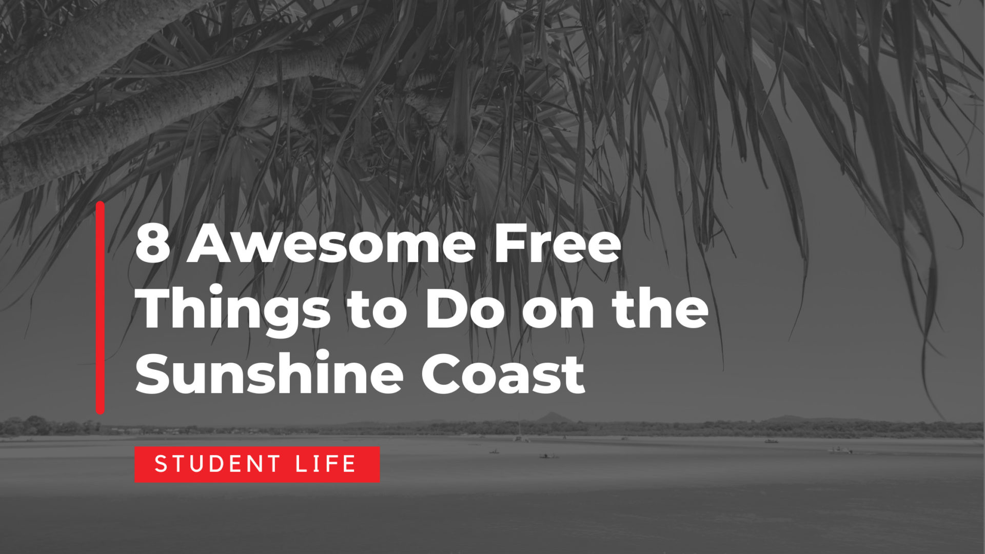8 Awesome Free Things to Do on the Sunshine Coast