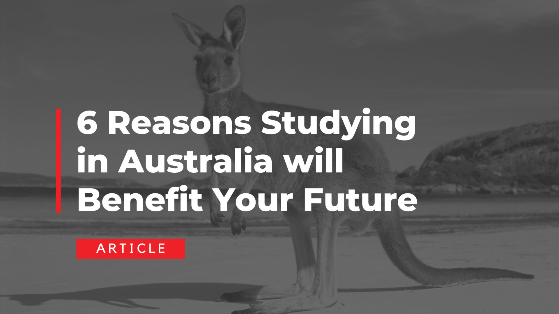 6 Reasons Studying in Australia will Benefit Your Future