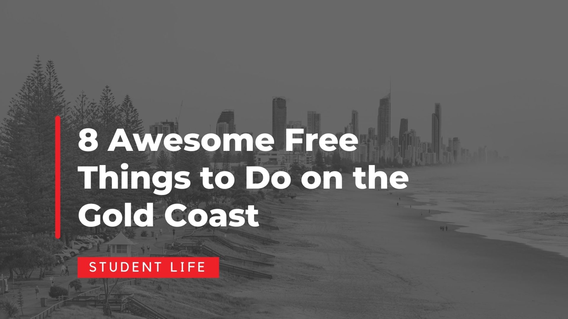 8 Awesome Free Things to Do on the Gold Coast