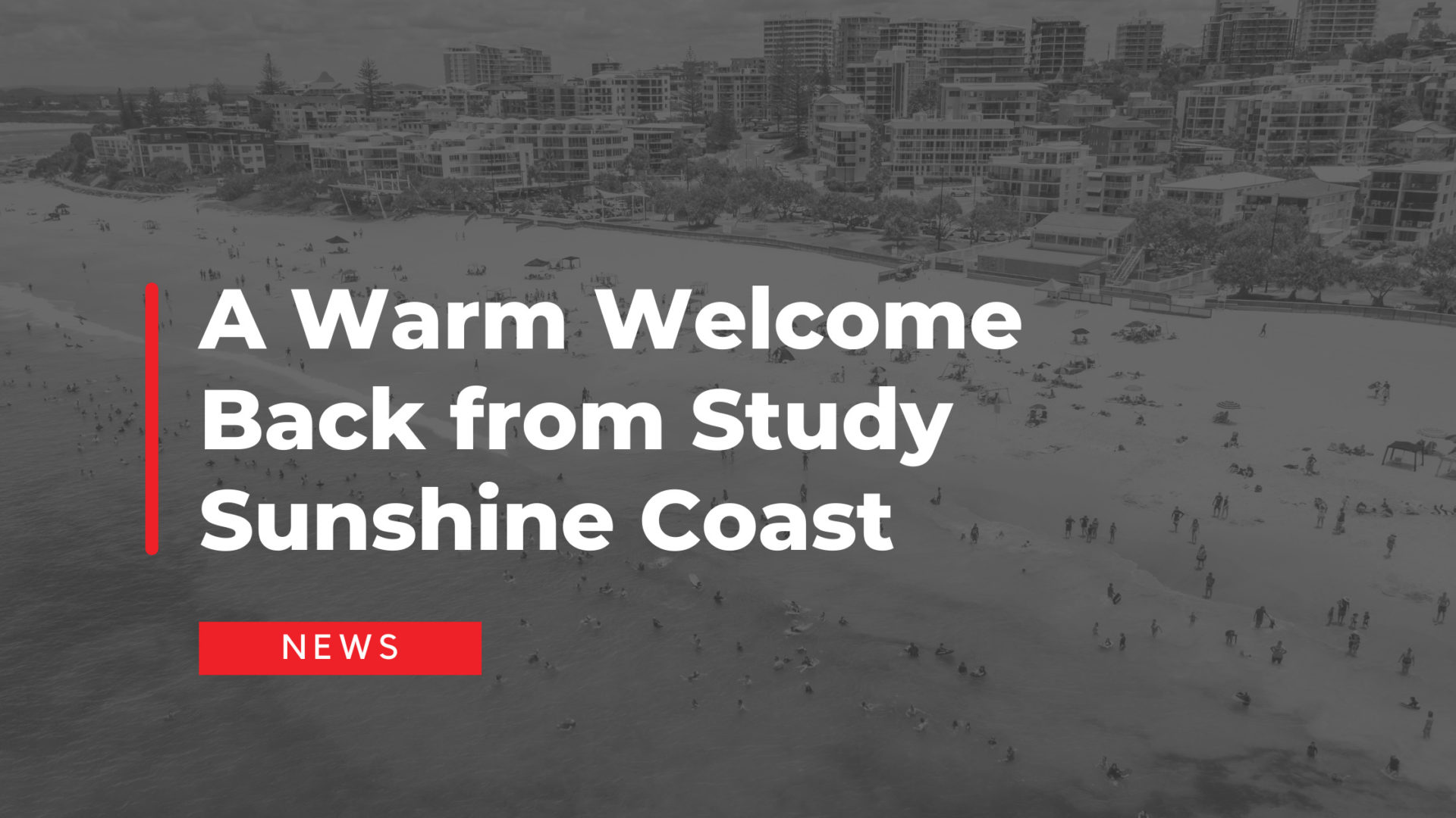 A Warm Welcome Back from Study Sunshine Coast