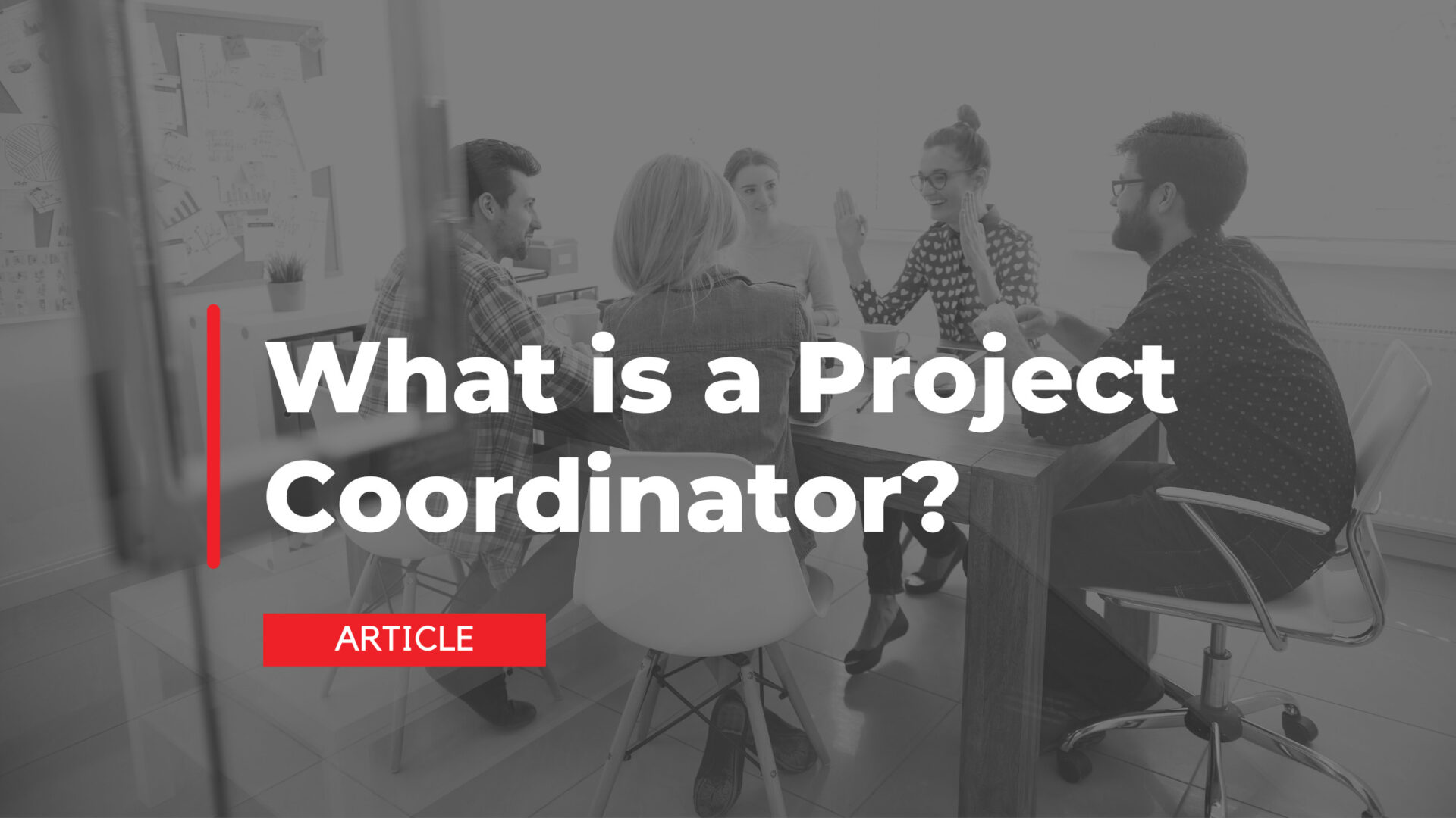 What is a Project Coordinator?
