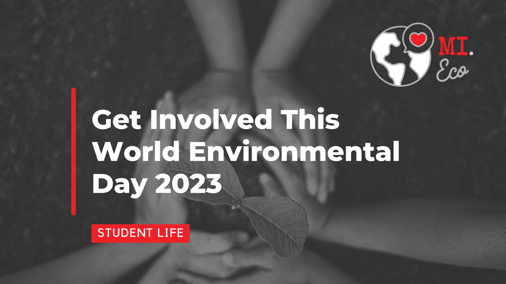 Get Involved This World Environment Day 2023