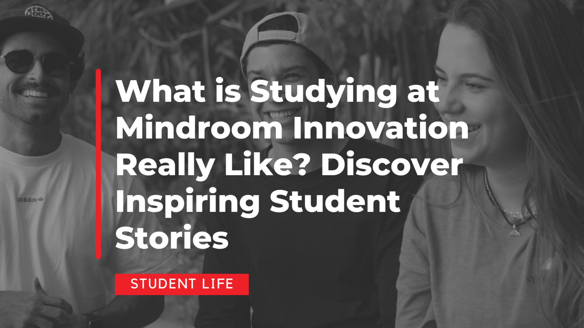 What is Studying at Mindroom Innovation Really Like? Discover Inspiring Student Stories