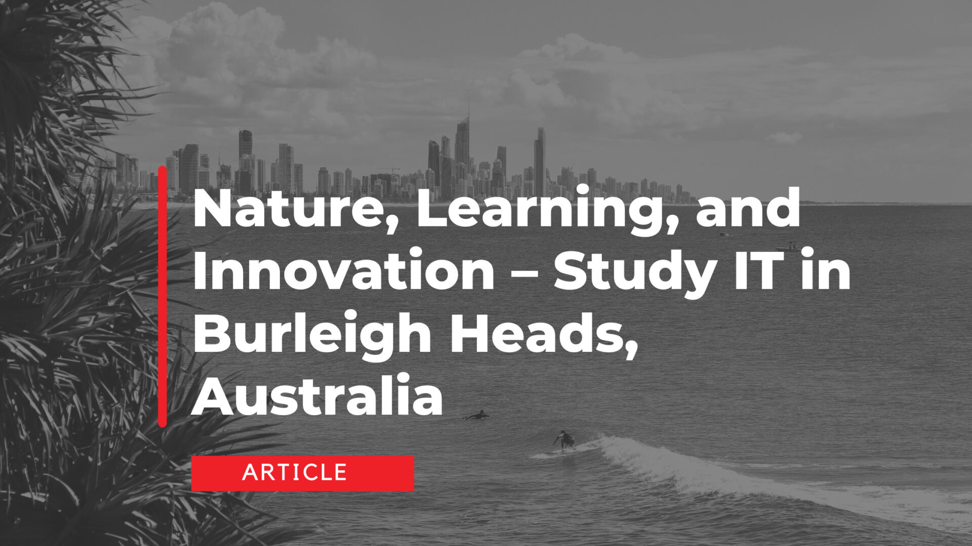 Nature, Learning, and Innovation – Study IT in Burleigh Heads, Australia